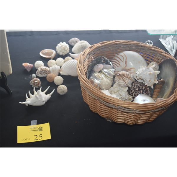 COLLECTION OF SHELLS (DOES NOT INCLUDE BASKET)