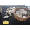 Image 1 : COLLECTION OF SHELLS (DOES NOT INCLUDE BASKET)