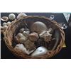 Image 4 : COLLECTION OF SHELLS (DOES NOT INCLUDE BASKET)