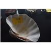 Image 1 : 15" CLAM SHELL