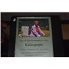 Image 8 : HAWAIIANA BOOKS: FATHER DAMIAN & KALAUPAPA (7 PCS)