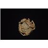 Image 4 : FROG SCULPTURES (2 PCS)