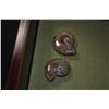 Image 2 : COLLECTION OF FOSSILS (5 PCS)