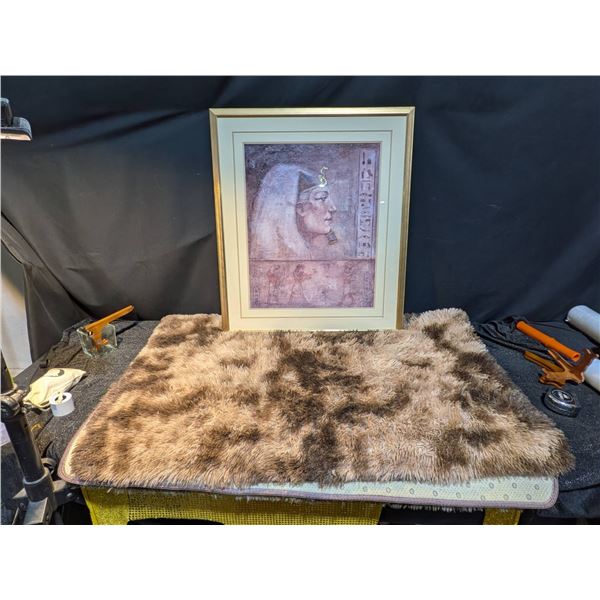 Soft Shaggy Area Rug With Foamy Backing and Egyptian Framed Art