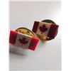 Image 4 : Pins and Accessories Including Red Cross, Canada Flag, and University of Alberta Pieces