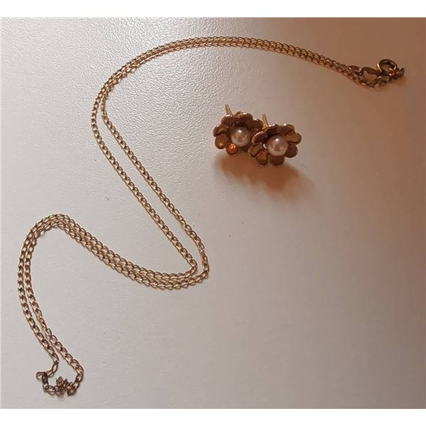 Tests like 10K Gold Earrings w/ 14KGF Chain