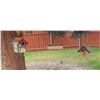 Image 2 : Decorative Outdoor Tire Planters and Hanging Birdhouses
