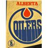Image 8 : Vintage Hockey Pennants, Including Autographed Edmonton Oilers