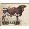 Image 1 : RRL SWEET & SASSIE 514