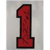 Image 2 : Derrick Rose Signed Chicago Bulls Jersey Deluxe Frame