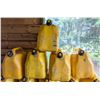Image 1 : *OFFSITE* LOT OF FIVE 5.3 GAL DEISEL JERRY CANS