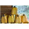 Image 1 : *OFFSITE* LOT OF FIVE 5.3 GAL DEISEL JERRY CANS