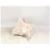 Image 1 : QUEEN CONCH SHELL