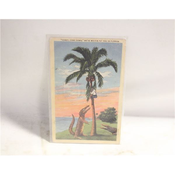 FLORIDA VINTAGE POSTCARD, 1944