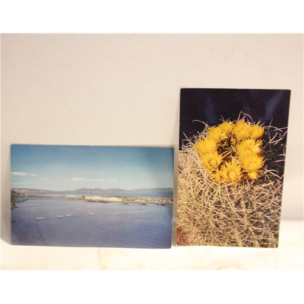 2 VINTAGE CALIFORNIA POSTCARDS