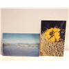Image 1 : 2 VINTAGE CALIFORNIA POSTCARDS