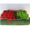 Image 1 : 25 DECO GLASS CUPS 4"