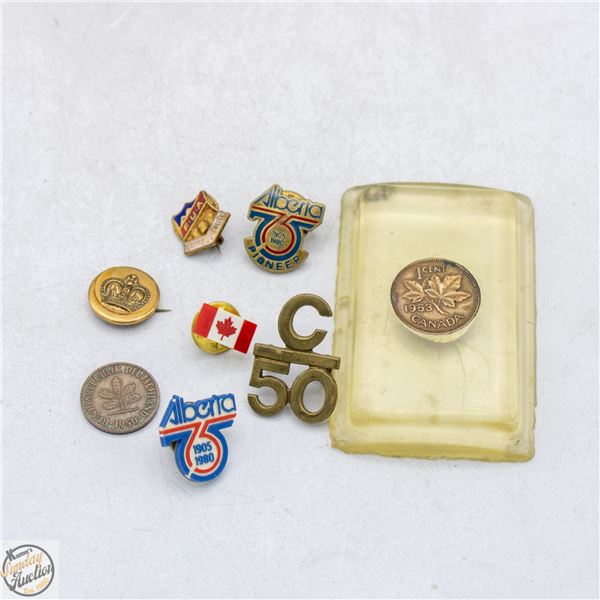 COLLECTORS PINS LOT ETC