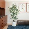 Image 1 : BRAND NEW FAUX EUCALYPTUS TREE - 32 X 32 X 77.9"