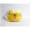 Image 1 : REAL DRAGONFLY SET IN AMBER