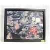Image 1 : LORRAINE OBERG FRAMED 1/250 PRINT OF A