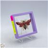 Image 1 : NEW LARGE RHINESTONE BEE BROOCH