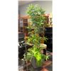 Image 1 : ARTIFICIAL BAMBOO PLANT 78" TALL