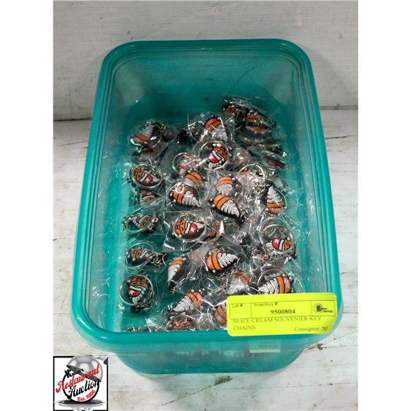 50 ICE CREAM SOUVENIER KEY CHAINS