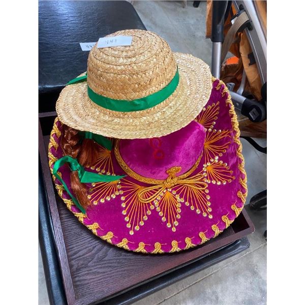ANNE OF GREEN GABLES HAT AND SOMBRERO