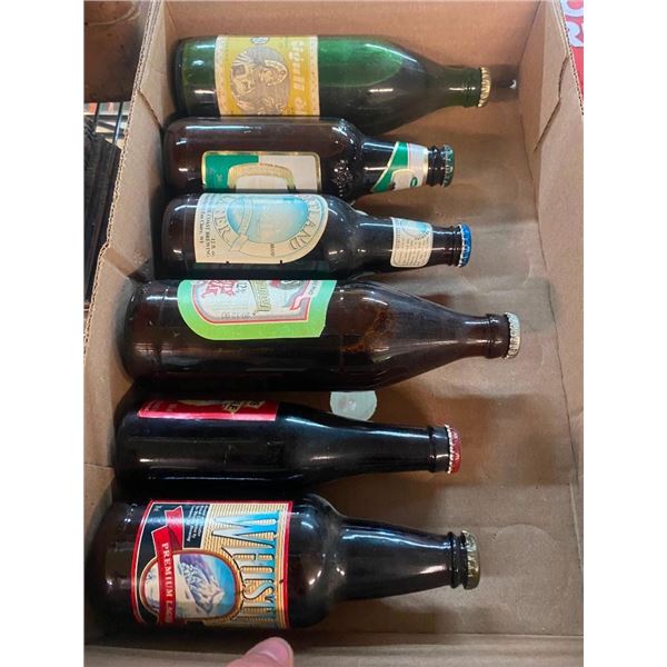 BOX OF 6 DIFFERENT BOTTLES OF LAGER