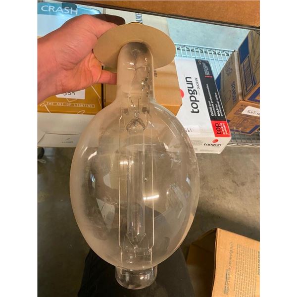 2 VERY LARGE LIGHTBULBS