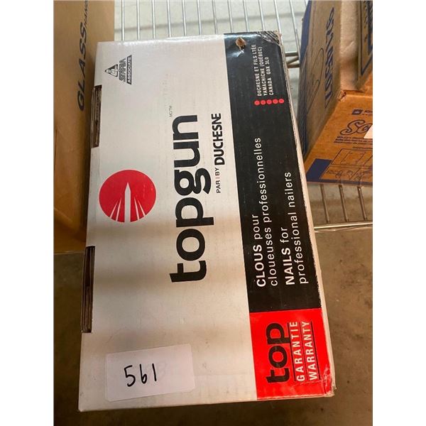 2000 OF TOPGUN 3 1/4IN 34 DEGREE STRIP NAILS