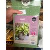 Image 1 : 1 HOSTA PLANT