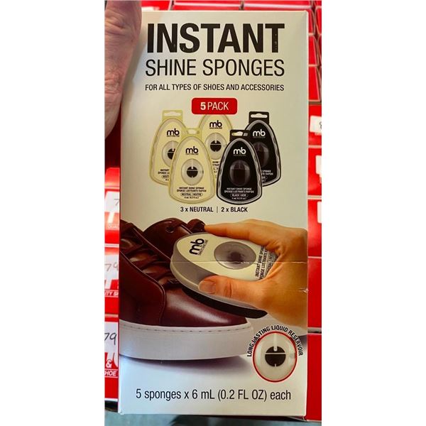 INSTANT SHOE SHINE KIT