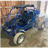 Image 1 : GAS POWERED 250CC DUNE BUGGY - RUNS AND WORKS GREAT