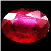 2.58ct Charming Briolette Top Blood Red Ruby Natural (GEM-18070)