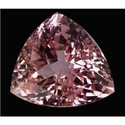 14.20ct Flawless Trillion Cut Natural Patroke Pink Kunzite Appraisal Estimate $11360 (GEM-17907)