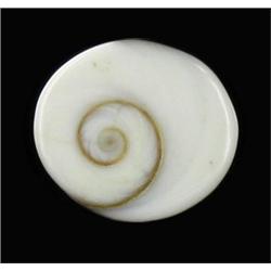 7.87ct Rare Gomti Chakra Shell (GEM-20785)