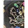 Image 4 : Costume Jewelry Lot