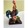Image 6 : Roosters