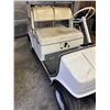 Image 3 : Yamaha Gas Golf Cart