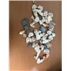 Image 1 : Seashells