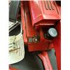 Image 7 : Homelite Chainsaw and accessories