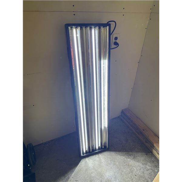 Light