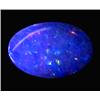 0.97ct Australian Black Opal Doublet Full Fire (GEM-22612A)