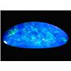1.6ct Australian Black Opal Doublet Full Fire (GEM-22616C)