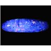 4.77ct Australian Black Opal Doublet Full Fire (GEM-22608C)