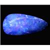 1.96ct Australian Black Opal Doublet Full Fire (GEM-22610D)