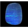 6.66ct Australian Black Opal Doublet Full Fire (GEM-22388D)