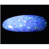 1.67ct Australian Black Opal Doublet Full Fire (GEM-22611A)